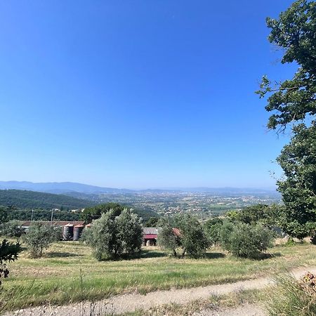 Le Case Di Anita In Toscana - Arezzo Eksteriør billede