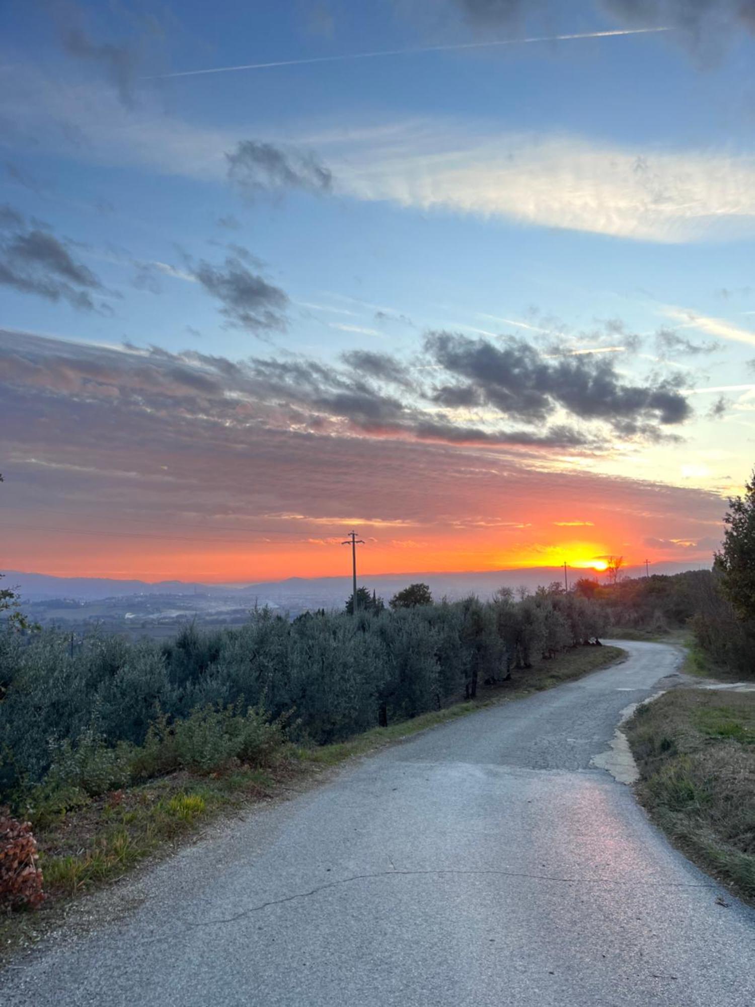 Le Case Di Anita In Toscana - Arezzo Eksteriør billede